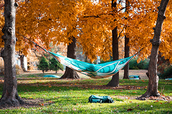 Student in Hammock on Front Lawn