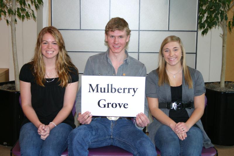 Photo of Mulberry Grove 2011