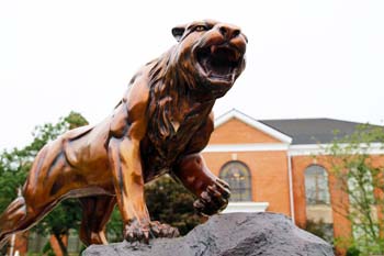 Photo of the Bearcat Statue