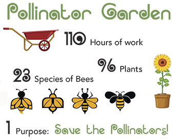 Pollinator Garden