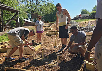 Bearcat Beehive Project is an Interdisciplinary Collaboration