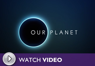 Our Planet (2019)